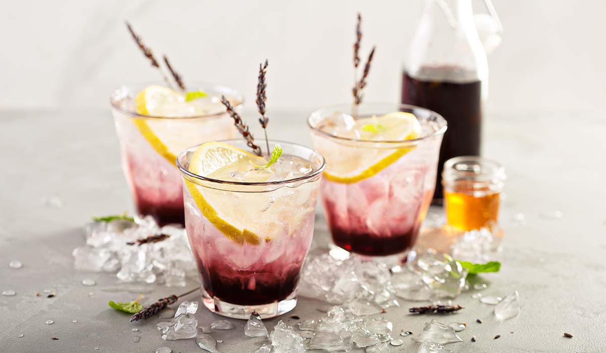 minuman blackcurrant