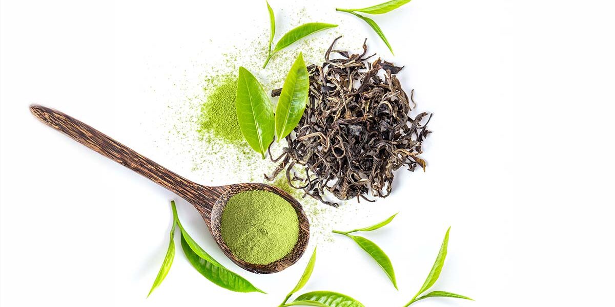 Perbedaan Matcha dan Green Tea Perbedaan Matcha dan Green Tea