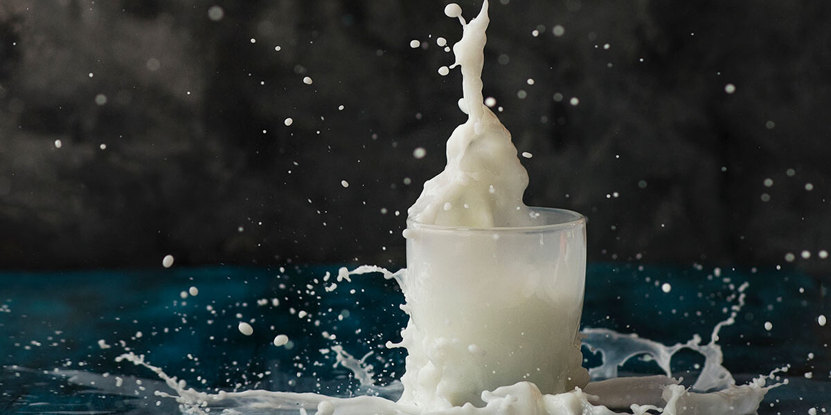 Susu Evaporasi Susu Evaporasi