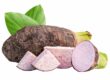 Buah Taro