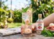 lychee syrup