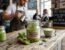 matcha latte bubuk